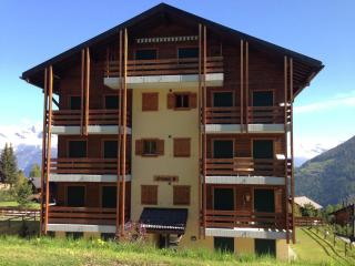 Apartment in La Tzoumaz near Ski Slopes, cleaning included - La Tzoumaz - 9