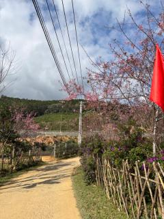 Lam House's homestay Măng Đen - Kon Tum - 9