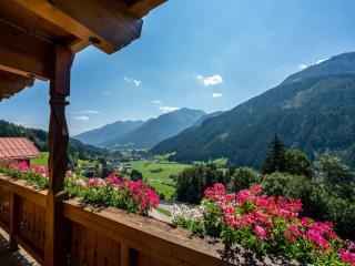 Cozy apartment with mountain views, cleaning included - Wald im Pinzgau - 5