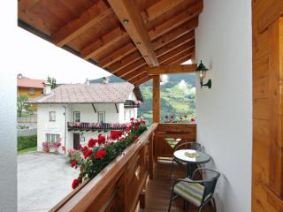 Apartment in Hochgallmigg near Ski Lift, cleaning included - Hochgallmig - 7