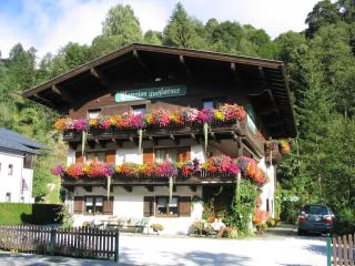 Apartment in Saalbach near Ski Lifts, cleaning included - Saalbach-Hinterglemm - 9