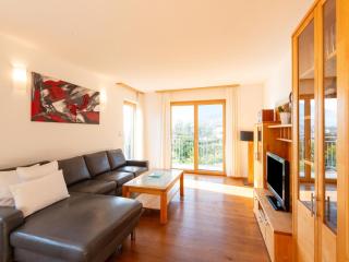 Apartment in Fügen near Spieljoch Ski, cleaning included - Fügen - 1