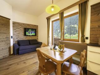 Apartment in Neustift near Ski Lift, cleaning included - Neustift im Stubaital - 0