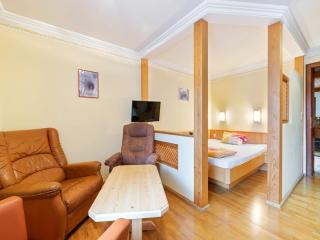 Studio in Saalbach near Ski Slopes, cleaning included - Saalbach-Hinterglemm - 2