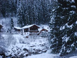 Chalet in Mayrhofen near Ski Slopes, cleaning included - Mayrhofen - 9