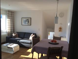 Apartment in Disentis with Garden, BBQ & Views, cleaning included - Mompetavetsch - 6