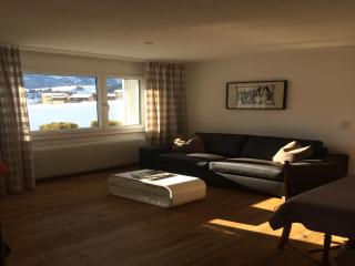 Apartment in Disentis with Garden, BBQ & Views, cleaning included - Mompetavetsch - 8