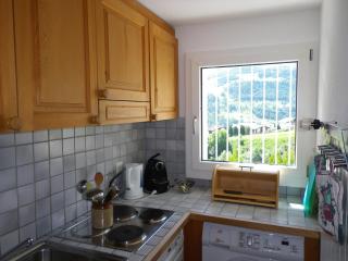 Apartment in Disentis with Garden, BBQ & Views, cleaning included - Mompetavetsch - 4
