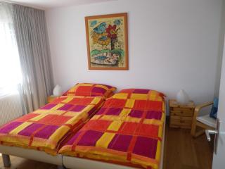 Apartment in Disentis with Garden, BBQ & Views, cleaning included - Mompetavetsch - 1