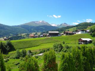 Apartment in Disentis with Garden, BBQ & Views, cleaning included - Mompetavetsch - 0