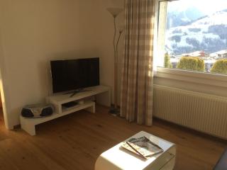 Apartment in Disentis with Garden, BBQ & Views, cleaning included - Mompetavetsch - 7