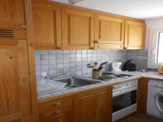 Apartment in Disentis with Garden, BBQ & Views, cleaning included - Mompetavetsch - 5