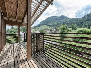 Apartment in Tyrol near ski area, cleaning included - Kirchdorf in Tirol - 0