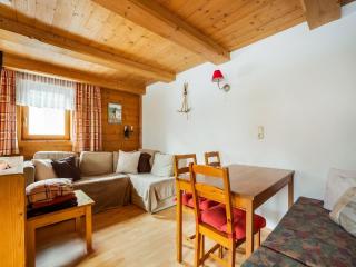 Chalet in Jochberg near Thurn Pass Skiing, cleaning included - Jochberg - 1