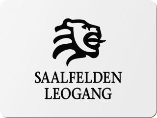 Chalet in Saalfelden near Ski Slopes, cleaning included - Saalfelden am Steinernen Meer - 0