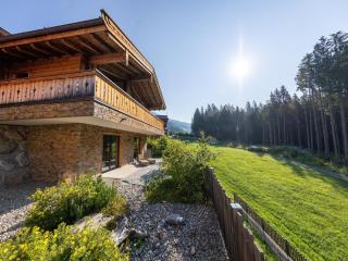 Luxury chalet near a small slope, cleaning included - Neukirchen am Großvenediger - 8
