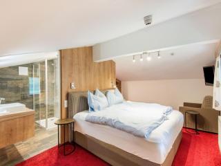 Apartment in Wald im Pinzgau with sauna, cleaning included - Wald im Pinzgau - 6