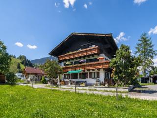 Apartment in Maishofen near Ski Slopes, cleaning included - Maishofen - 9