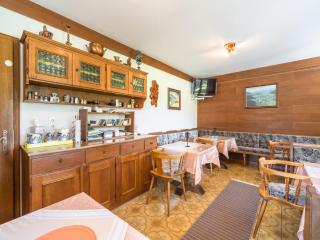 Apartment in Maishofen near Ski Slopes, cleaning included - Maishofen - 1