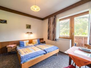 Apartment in Maishofen near Ski Slopes, cleaning included - Maishofen - 4