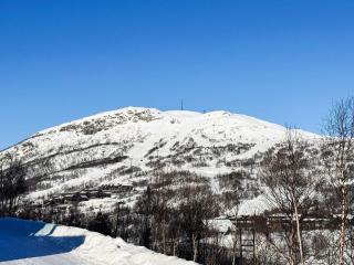 Apartment Hovden IV - Hovden - 2