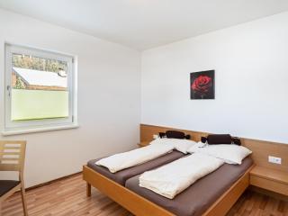 Apartment in Saalfelden near Ski Slopes, cleaning included - Saalfelden am Steinernen Meer - 6