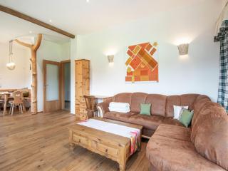 Apartment in Saalfelden am Steinernen Meer, cleaning included - Saalfelden am Steinernen Meer - 8