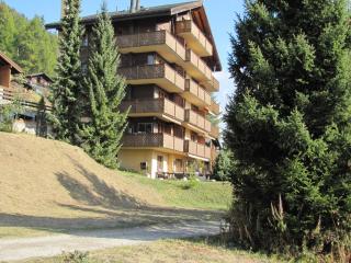 Superb apartment with views of the Alps, cleaning included - Bellwald - 8