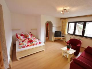 Apartment in Leogang near Ski Lift, cleaning included - Leogang - 7