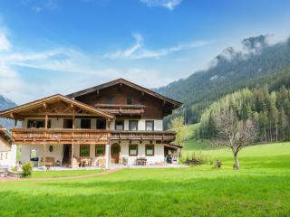 Apartment in Saalfelden am Steinernen Meer, cleaning included - Saalfelden am Steinernen Meer - 3