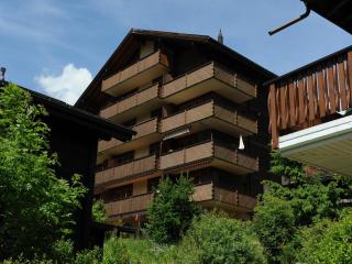 Superb apartment with views of the Alps, cleaning included - Bellwald - 7