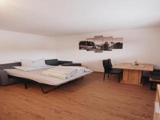 New apartment in the beautiful Pitztal, cleaning included - Oberlehn - 4
