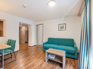 Apartment in Wald in Salzburgerland with sauna, cleaning included - Wald im Pinzgau - 2