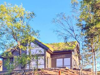 Holiday home Hornnes II - Hornnes - 0
