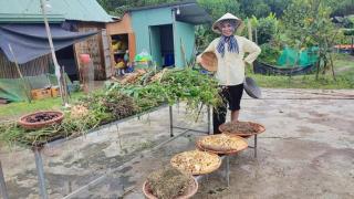 T&J Farmstay - - 0