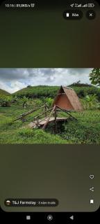 T&J Farmstay - - 6