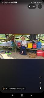 T&J Farmstay - - 4