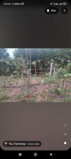T&J Farmstay - - 2