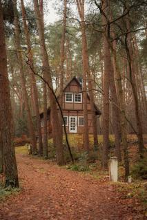 Half-Timbered House In The Middle Of The Forest - Kirchlinteln - 8