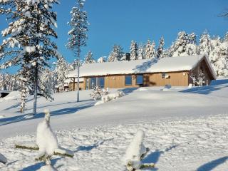 Modern Cabin With Panoramic View On Bringsfjellet - 9