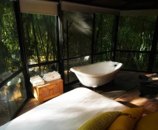 Amanatu Ecolodge & Spa - Quimbaya - 4