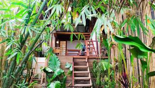 Zen Treehouse - General Luna - 9