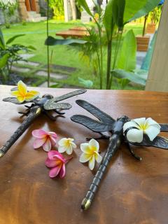 The Raka Villa - Ambat - 6