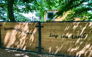 Discover The Harz National Park From A Tree House - Ilsenburg - 7
