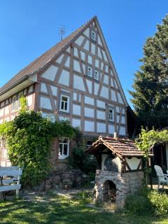 Bergfohlenhof - 7