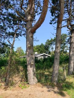 Home With French Details Near Sjællands Odde - - 8