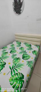 Ddiana Alor Setar Wifi 4 Airconds - Alor Setar - 9