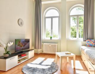 Karlsbad APT - Karlovy Vary - 8