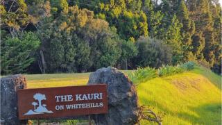 The Kauri Sanctuary by Tiny Away - Waitoki - 2