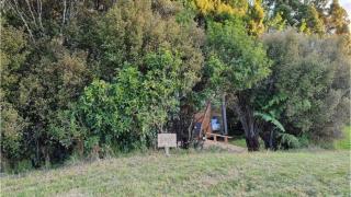 The Kauri Sanctuary by Tiny Away - Waitoki - 1